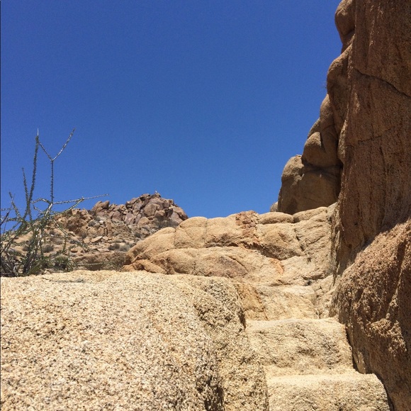 Meet your Posher, Ashley - Picture 1 of 1